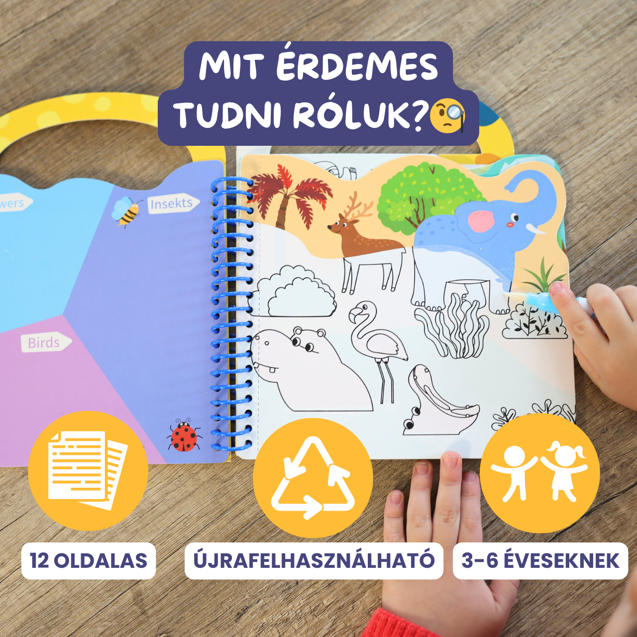 Vízfestő Könyv Állatos